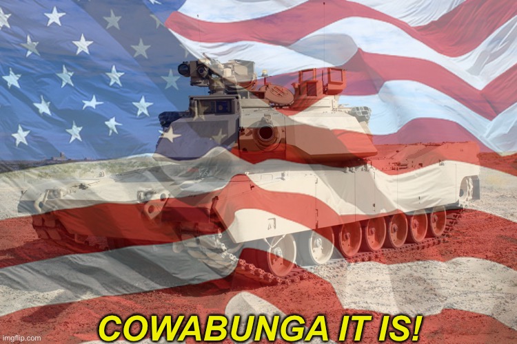 COWABUNGA IT IS! | made w/ Imgflip meme maker