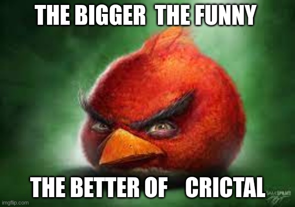 Realistic Red Angry Birds | THE BIGGER  THE FUNNY; THE BETTER OF    CRICTAL | image tagged in realistic red angry birds | made w/ Imgflip meme maker