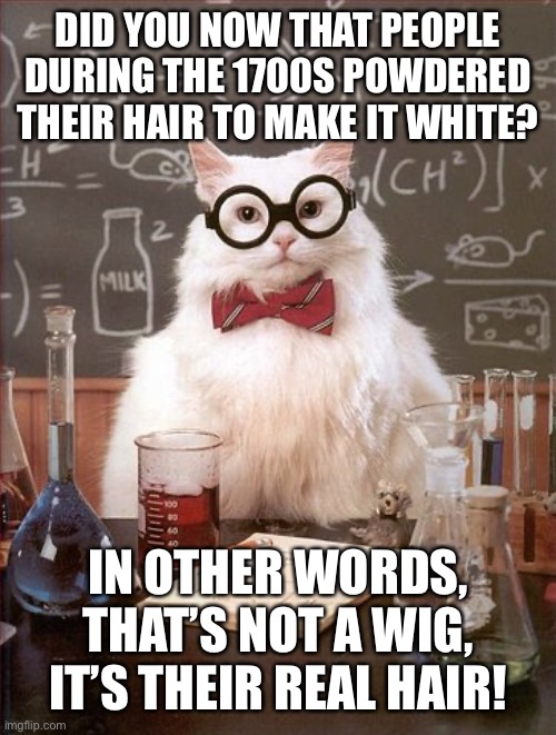 Professor Cat | DID YOU NOW THAT PEOPLE DURING THE 1700S POWDERED THEIR HAIR TO MAKE IT WHITE? IN OTHER WORDS, THAT’S NOT A WIG, IT’S THEIR REAL HAIR! | image tagged in professor cat | made w/ Imgflip meme maker