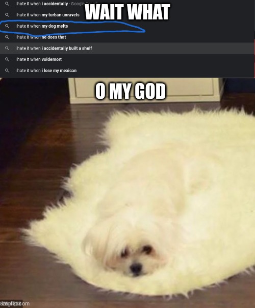 NO not my dog | WAIT WHAT; O MY GOD | image tagged in wait wut | made w/ Imgflip meme maker
