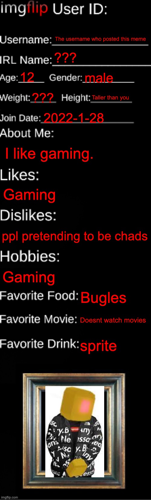 Me | The username who posted this meme; ??? 12; male; ??? Taller than you; 2022-1-28; I like gaming. Gaming; ppl pretending to be chads; Gaming; Bugles; Doesnt watch movies; sprite | image tagged in imgflip id card | made w/ Imgflip meme maker