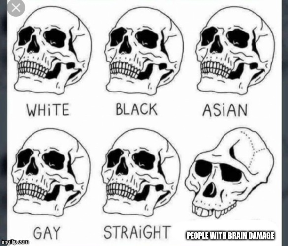 White Black Asian Gay Straight skull template |  PEOPLE WITH BRAIN DAMAGE | image tagged in white black asian gay straight skull template | made w/ Imgflip meme maker