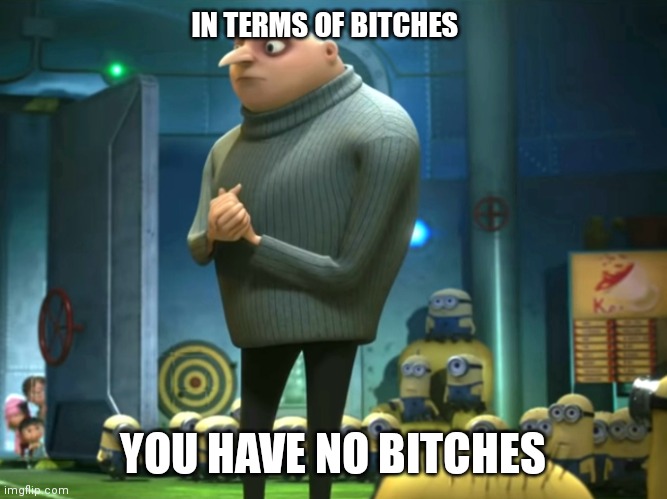 In terms of money, we have no money | IN TERMS OF BITCHES; YOU HAVE NO BITCHES | image tagged in in terms of money we have no money,no bitches,gru's plan | made w/ Imgflip meme maker