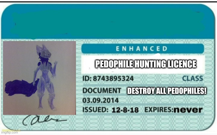 Pedophiles are disgusting | PEDOPHILE HUNTING LICENCE; DESTROY ALL PEDOPHILES! | image tagged in blank hunting license | made w/ Imgflip meme maker