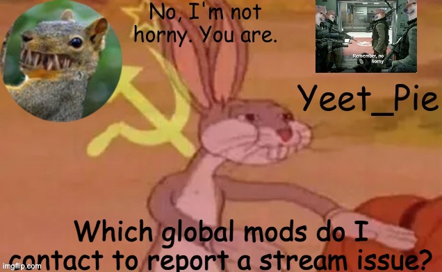 Yeet_Pie | Which global mods do I contact to report a stream issue? | image tagged in yeet_pie | made w/ Imgflip meme maker