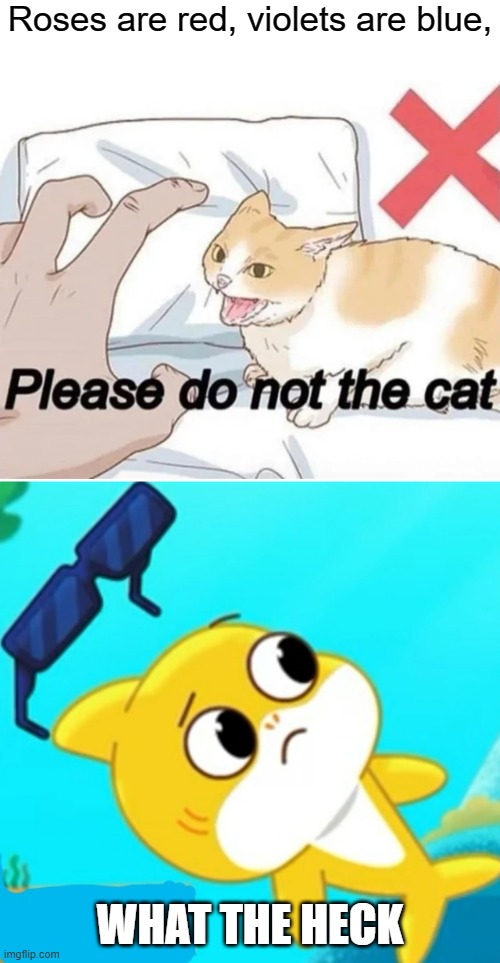 Please do not the cat | Roses are red, violets are blue, WHAT THE HECK | image tagged in what the heck,cats,fails,baby shark | made w/ Imgflip meme maker