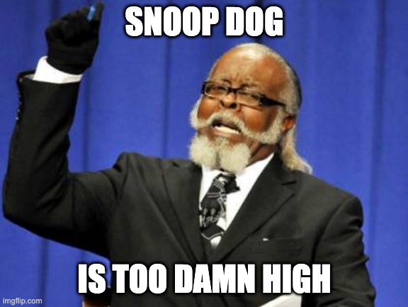 Get it? | SNOOP DOG; IS TOO DAMN HIGH | image tagged in memes,too damn high,y u no,snoop dogg,yes,thank you | made w/ Imgflip meme maker