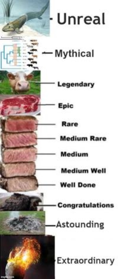 steak | image tagged in steak | made w/ Imgflip meme maker