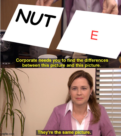 Nuty | NUT; E | image tagged in memes,they're the same picture | made w/ Imgflip meme maker