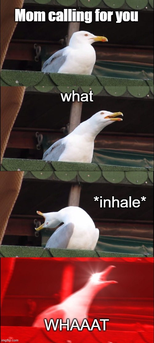 Mom Calling For You Be Like | Mom calling for you; what; *inhale*; WHAAAT | image tagged in memes,inhaling seagull,mom,what | made w/ Imgflip meme maker