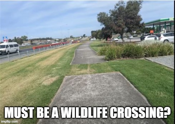 The Space Between | MUST BE A WILDLIFE CROSSING? | image tagged in you had one job | made w/ Imgflip meme maker