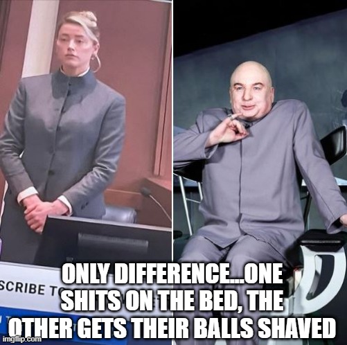 Evil | ONLY DIFFERENCE...ONE SHITS ON THE BED, THE OTHER GETS THEIR BALLS SHAVED | image tagged in amber heard,dr evil | made w/ Imgflip meme maker