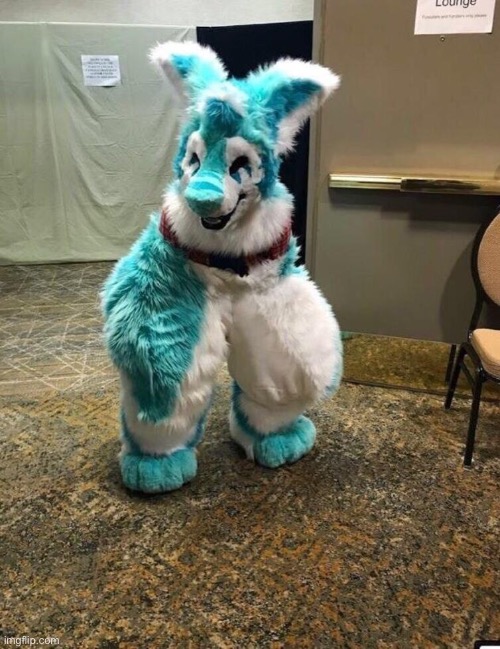 CURSED IMAGE~ | image tagged in furry | made w/ Imgflip meme maker