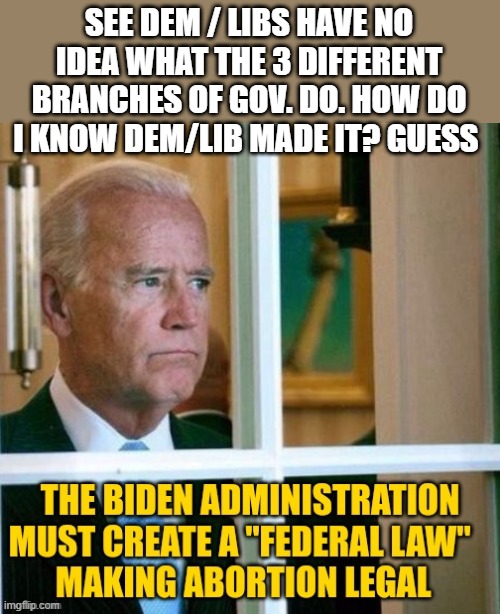 3 branches learn what they do. | SEE DEM / LIBS HAVE NO IDEA WHAT THE 3 DIFFERENT BRANCHES OF GOV. DO. HOW DO I KNOW DEM/LIB MADE IT? GUESS | image tagged in your not just wrong your stupid | made w/ Imgflip meme maker