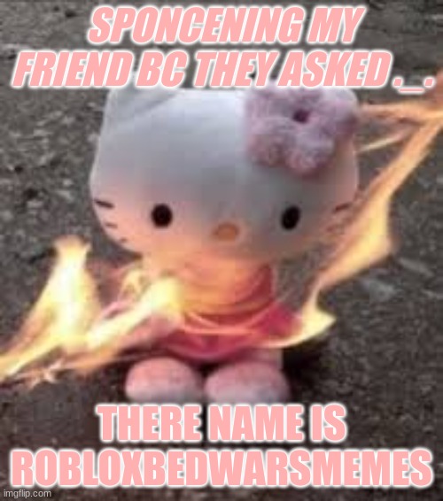 When u have to sponsor someone.... | SPONCENING MY FRIEND BC THEY ASKED ._. THERE NAME IS ROBLOXBEDWARSMEMES | image tagged in weird,sponsor,bedwars | made w/ Imgflip meme maker
