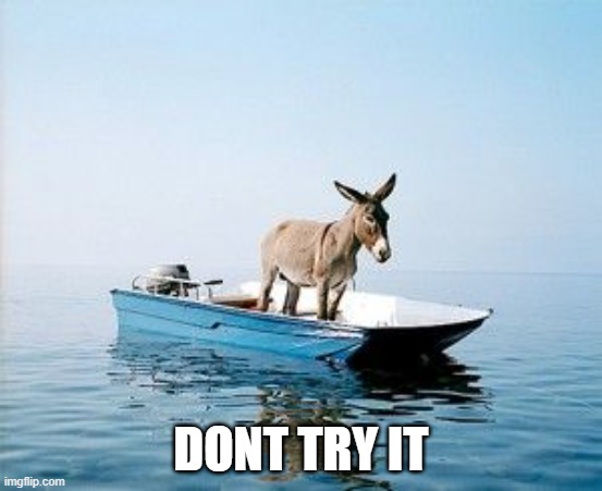 DONKEY ON A BOAT | DONT TRY IT | image tagged in donkey on a boat | made w/ Imgflip meme maker