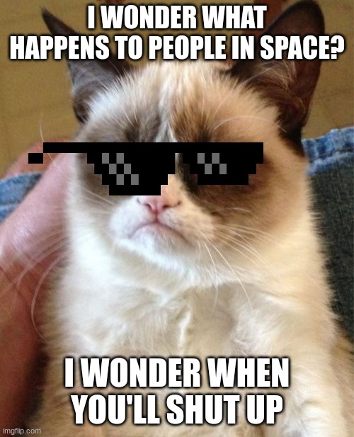 Grumpy Cat Meme | I WONDER WHAT HAPPENS TO PEOPLE IN SPACE? I WONDER WHEN YOU'LL SHUT UP | image tagged in memes,grumpy cat | made w/ Imgflip meme maker