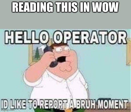 Bruh moment | READING THIS IN WOW | image tagged in bruh moment | made w/ Imgflip meme maker