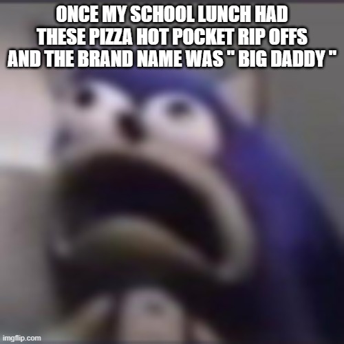 no cap | ONCE MY SCHOOL LUNCH HAD THESE PIZZA HOT POCKET RIP OFFS AND THE BRAND NAME WAS " BIG DADDY " | image tagged in distress | made w/ Imgflip meme maker