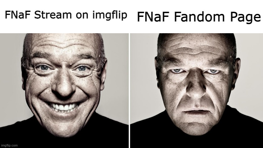 I love this stream! | FNaF Stream on imgflip; FNaF Fandom Page | image tagged in dean norris's reaction,fnaf,memes,fnaf memes | made w/ Imgflip meme maker
