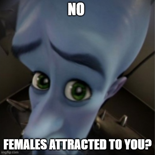 naur? | NO; FEMALES ATTRACTED TO YOU? | image tagged in megamind peeking | made w/ Imgflip meme maker