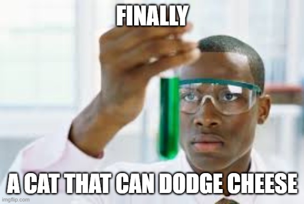 FINALLY A CAT THAT CAN DODGE CHEESE | image tagged in finally | made w/ Imgflip meme maker