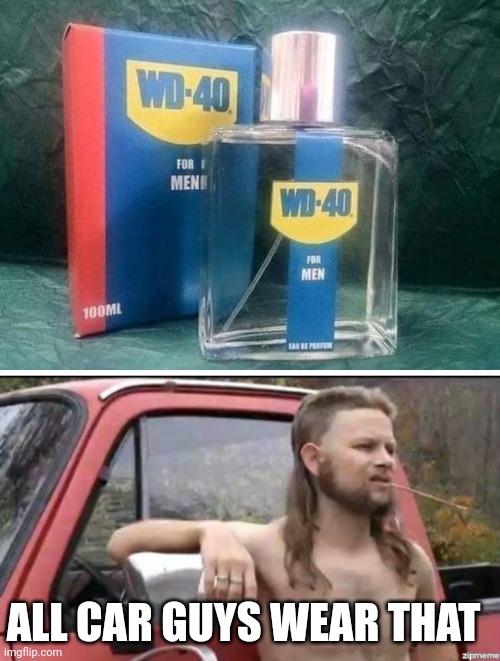 PERFECT FOR CAR GUYS | ALL CAR GUYS WEAR THAT | image tagged in almost politically correct redneck,cars,wd40 | made w/ Imgflip meme maker