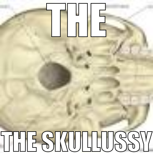 High Quality THE SKULLUSSY Blank Meme Template