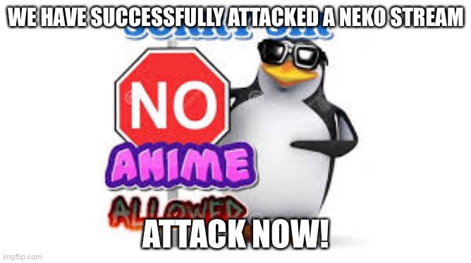 NO Anime Allowed | WE HAVE SUCCESSFULLY ATTACKED A NEKO STREAM; ATTACK NOW! | image tagged in no anime allowed | made w/ Imgflip meme maker