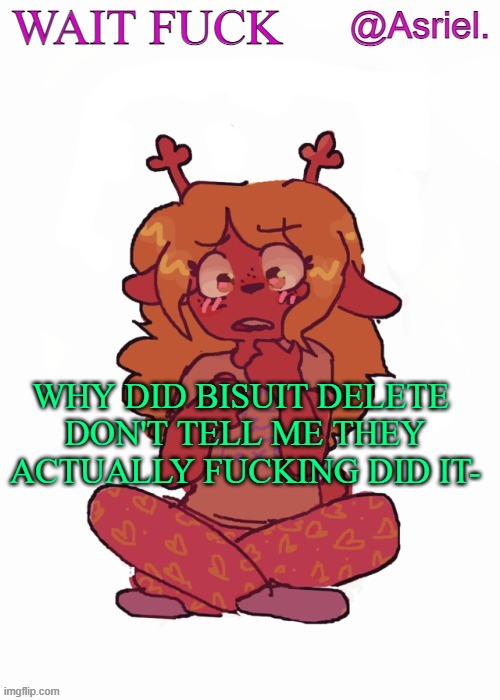 NO FUCK NO | WAIT FUCK; WHY DID BISUIT DELETE 
DON'T TELL ME THEY ACTUALLY FUCKING DID IT- | image tagged in asriel's other noelle temp | made w/ Imgflip meme maker
