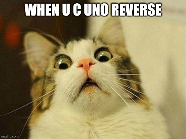 Scared Cat |  WHEN U C UNO REVERSE | image tagged in memes,scared cat,unfunny,every day we stray further from god,why,cringe | made w/ Imgflip meme maker