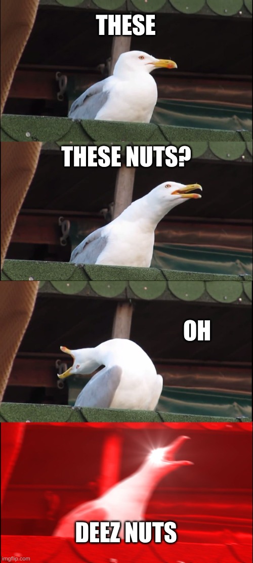Inhaling Seagull Meme | THESE; THESE NUTS? OH; DEEZ NUTS | image tagged in memes,inhaling seagull | made w/ Imgflip meme maker