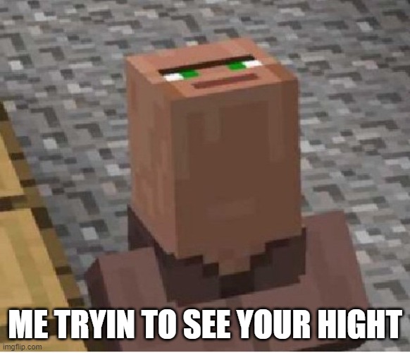 Minecraft Villager Looking Up | ME TRYIN TO SEE YOUR HIGHT | image tagged in minecraft villager looking up | made w/ Imgflip meme maker
