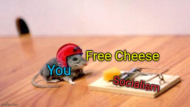 Nothing is Free | Free Cheese; You; Socialism | image tagged in mouse trap | made w/ Imgflip meme maker