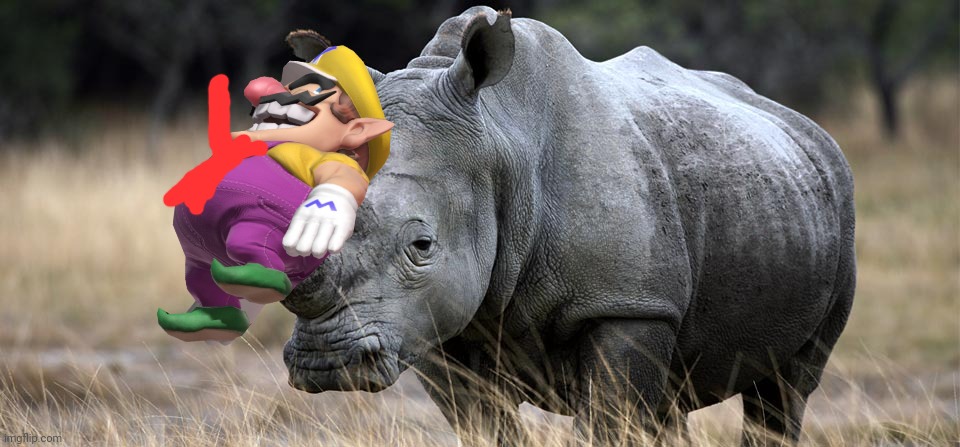 Wario gets impaled by a Rhino.mp3 | image tagged in rhino,wario,wario dies,horn,animals | made w/ Imgflip meme maker