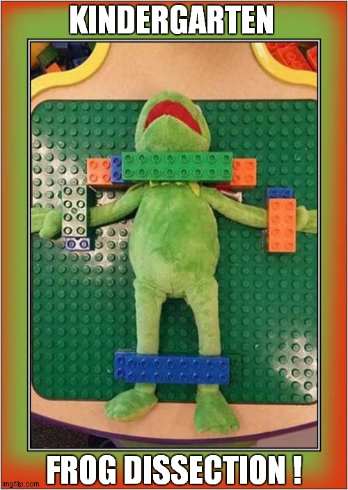 Rest in Pieces Kermit ! | KINDERGARTEN; FROG DISSECTION ! | image tagged in kermit,dissection,nursery,kindergarten,dark humour | made w/ Imgflip meme maker