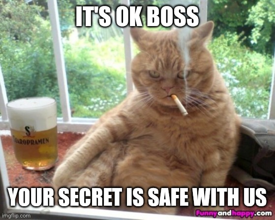 Smoking cat | IT'S OK BOSS YOUR SECRET IS SAFE WITH US | image tagged in smoking cat | made w/ Imgflip meme maker