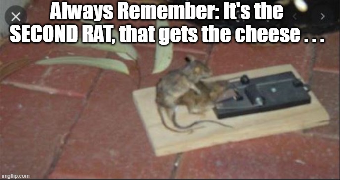 Always Remember: It's the SECOND RAT, that gets the cheese . . . | made w/ Imgflip meme maker