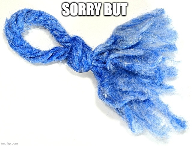 frayed knot | SORRY BUT | image tagged in frayed knot | made w/ Imgflip meme maker