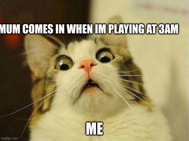 Mum Comes In | MUM COMES IN WHEN IM PLAYING AT 3AM; ME | image tagged in memes,scared cat | made w/ Imgflip meme maker