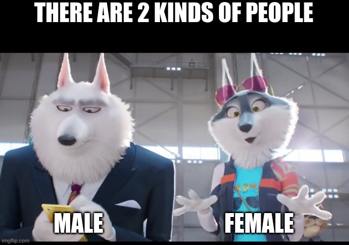 THERE ARE 2 KINDS OF PEOPLE; MALE                            FEMALE | made w/ Imgflip meme maker