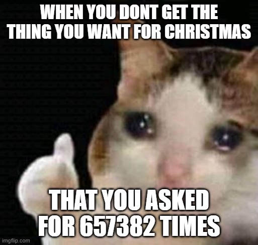 Saddest moment ever | WHEN YOU DONT GET THE THING YOU WANT FOR CHRISTMAS; THAT YOU ASKED FOR 657382 TIMES | image tagged in sad thumbs up cat | made w/ Imgflip meme maker