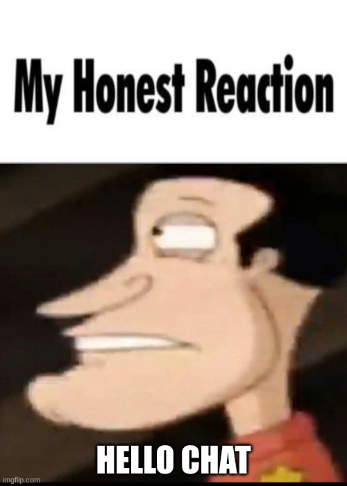 My Honest Reaction | HELLO CHAT | image tagged in my honest reaction | made w/ Imgflip meme maker