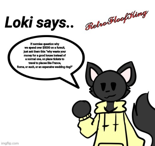 Good question | If normies question why we spend over $5000 on a fursuit, just ask them this: "why waste your money for a good house instead of a normal one, on plane tickets to travel to places like France, Rome, or such, or an expensive wedding ring?" | image tagged in loki says by retrofloofking | made w/ Imgflip meme maker