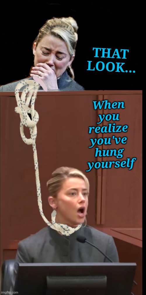 Amber Heard | When you realize 
you've 
hung 
yourself; THAT
 LOOK... | image tagged in amber heard | made w/ Imgflip meme maker