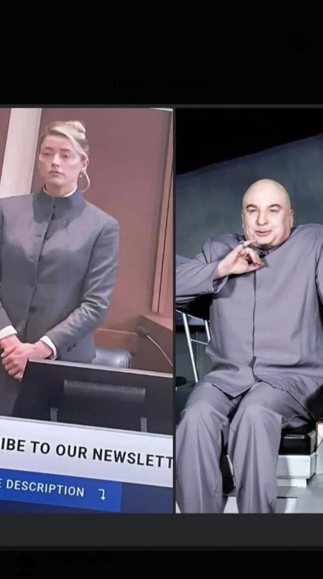 High Quality Amber Heard as Dr Evil Blank Meme Template