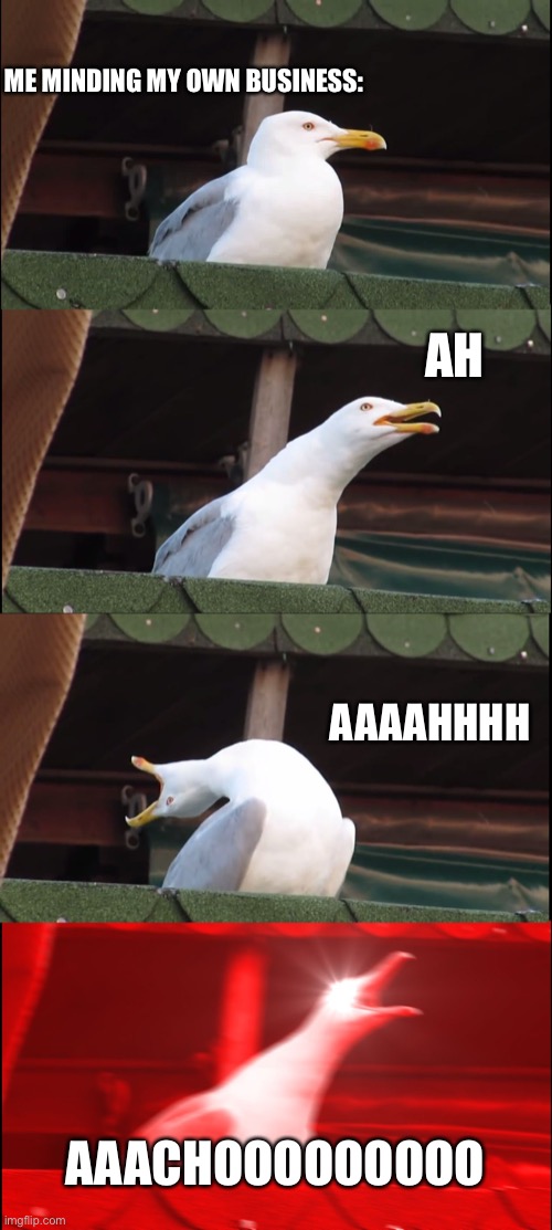 Sneeze | ME MINDING MY OWN BUSINESS:; AH; AAAAHHHH; AAACHOOOOOOOOO | image tagged in memes,inhaling seagull,sneeze | made w/ Imgflip meme maker