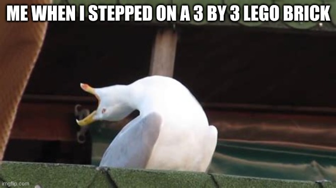 Me | ME WHEN I STEPPED ON A 3 BY 3 LEGO BRICK | image tagged in bird | made w/ Imgflip meme maker