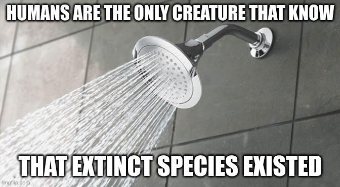 Shower Thoughts | HUMANS ARE THE ONLY CREATURE THAT KNOW; THAT EXTINCT SPECIES EXISTED | image tagged in shower thoughts | made w/ Imgflip meme maker
