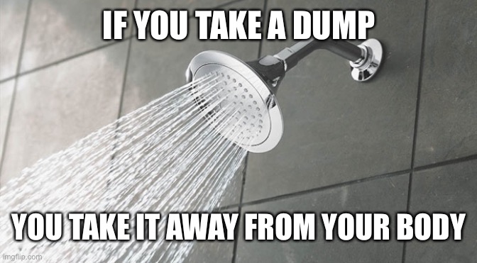 Shower Thoughts | IF YOU TAKE A DUMP; YOU TAKE IT AWAY FROM YOUR BODY | image tagged in shower thoughts | made w/ Imgflip meme maker